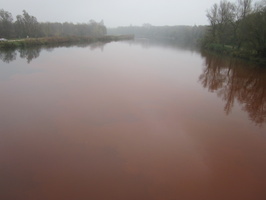 Tracage a la rhodamine sur le Rhone