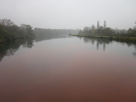 Tracage a la rhodamine sur le Rhone