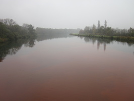Tracage a la rhodamine sur le Rhone