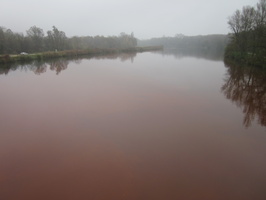 Tracage a la rhodamine sur le Rhone