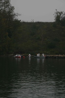 Tracage a la rhodamine sur le Rhone