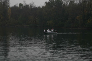 Tracage a la rhodamine sur le Rhone