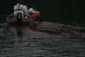 Tracage a la rhodamine sur le Rhone