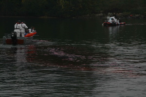 Tracage a la rhodamine sur le Rhone