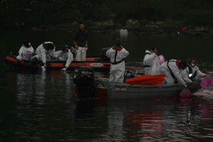 Tracage a la rhodamine sur le Rhone
