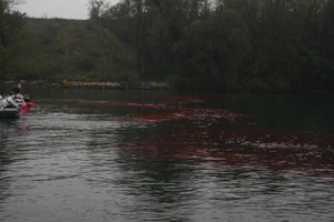 Tracage a la rhodamine sur le Rhone