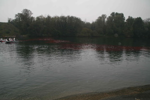 Tracage a la rhodamine sur le Rhone