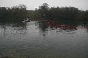 Tracage a la rhodamine sur le Rhone