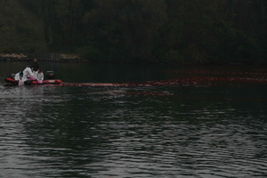 Tracage a la rhodamine sur le Rhone