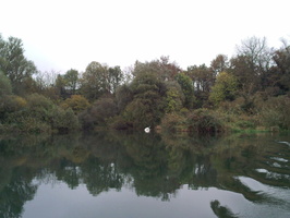 Tracage a la rhodamine sur le Rhone