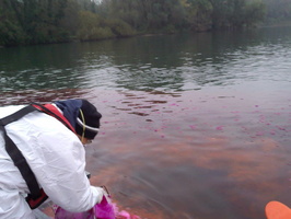 Tracage a la rhodamine sur le Rhone