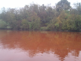 Tracage a la rhodamine sur le Rhone