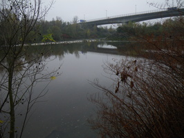 Tracage a la rhodamine sur le Rhone
