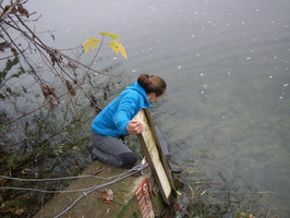 Tracage a la rhodamine sur le Rhone