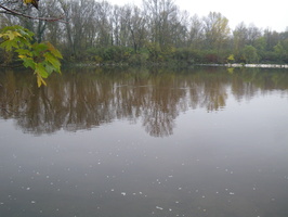 Tracage a la rhodamine sur le Rhone