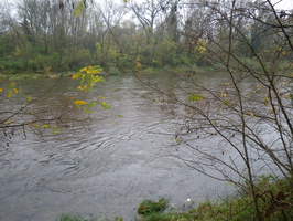 Tracage a la rhodamine sur le Rhone