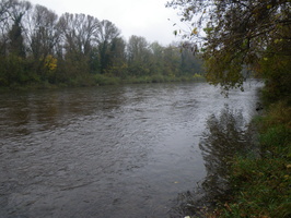 Tracage a la rhodamine sur le Rhone
