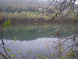 Tracage a la rhodamine sur le Rhone
