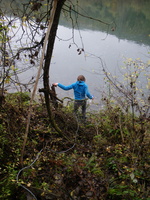 Tracage a la rhodamine sur le Rhone