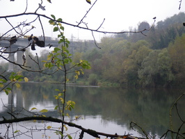 Tracage a la rhodamine sur le Rhone