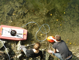 Tracage a la rhodamine sur le Rhone
