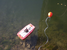 Tracage a la rhodamine sur le Rhone