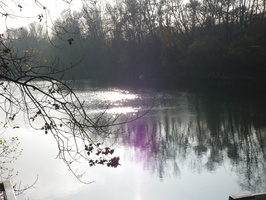 Tracage a la rhodamine sur le Rhone