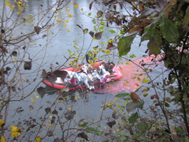 Tracage a la rhodamine sur le Rhone