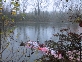 Tracage a la rhodamine sur le Rhone