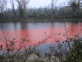 Tracage a la rhodamine sur le Rhone