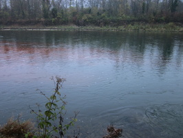 Tracage a la rhodamine sur le Rhone