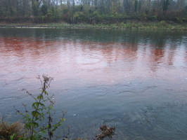 Tracage a la rhodamine sur le Rhone