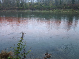 Tracage a la rhodamine sur le Rhone
