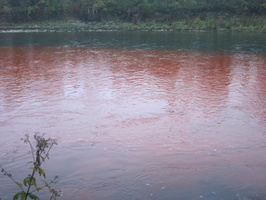 Tracage a la rhodamine sur le Rhone