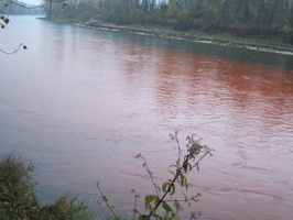 Tracage a la rhodamine sur le Rhone