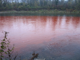 Tracage a la rhodamine sur le Rhone