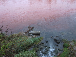Tracage a la rhodamine sur le Rhone