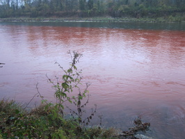 Tracage a la rhodamine sur le Rhone