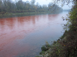 Tracage a la rhodamine sur le Rhone