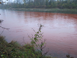 Tracage a la rhodamine sur le Rhone