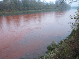 Tracage a la rhodamine sur le Rhone