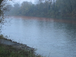 Tracage a la rhodamine sur le Rhone