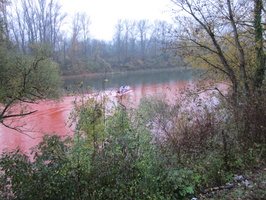Tracage a la rhodamine sur le Rhone