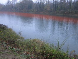Tracage a la rhodamine sur le Rhone
