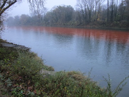 Tracage a la rhodamine sur le Rhone