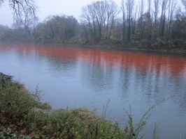 Tracage a la rhodamine sur le Rhone