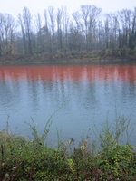 Tracage a la rhodamine sur le Rhone