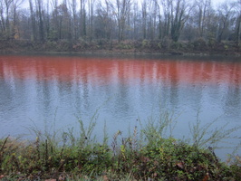 Tracage a la rhodamine sur le Rhone