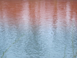Tracage a la rhodamine sur le Rhone