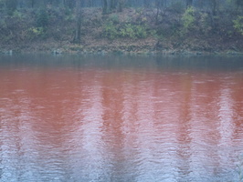 Tracage a la rhodamine sur le Rhone
